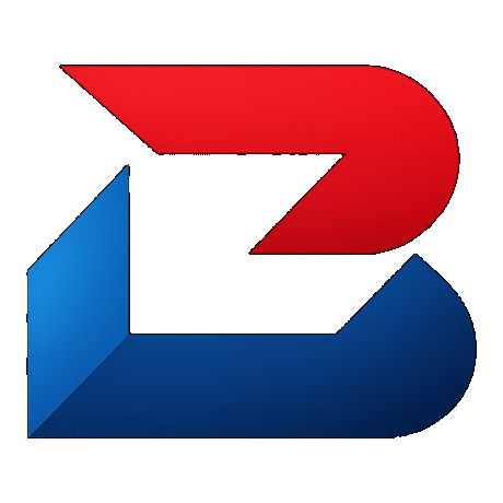 Bravo Systems Design logo